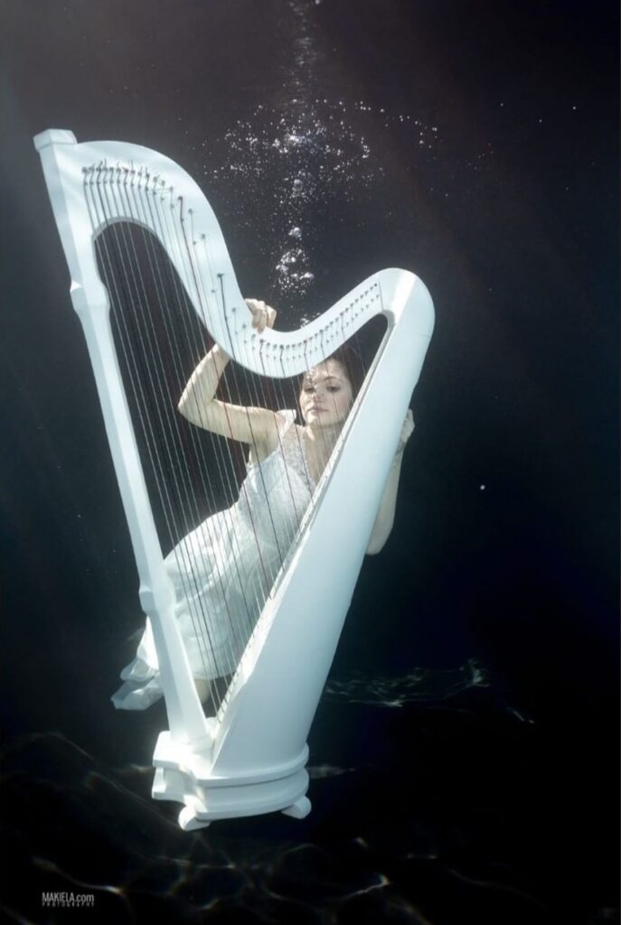 Arabic Harpist - GAE EVENTS - DUBAI - UAE (6)